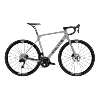 2026 Canyon Endurace CF 7 Di2 LTD Road Bike (PIENARBIKESHOP)